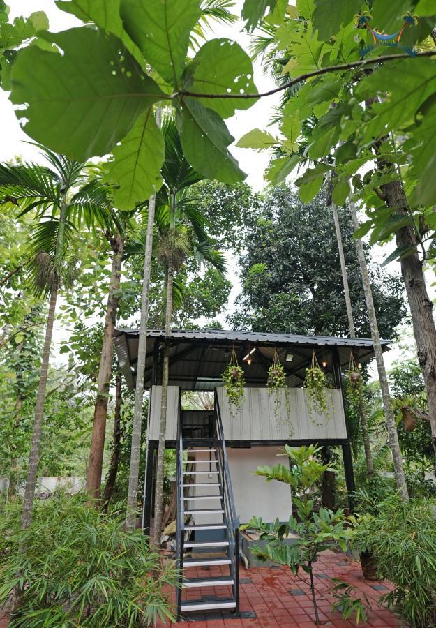 Serenity Villa And Treehouse Palakkad Esterno foto