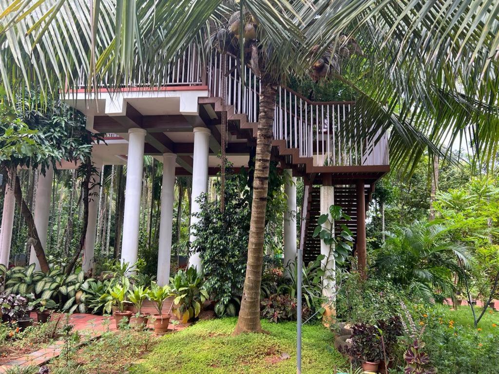 Serenity Villa And Treehouse Palakkad Esterno foto