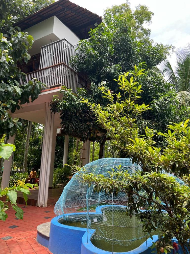 Serenity Villa And Treehouse Palakkad Esterno foto