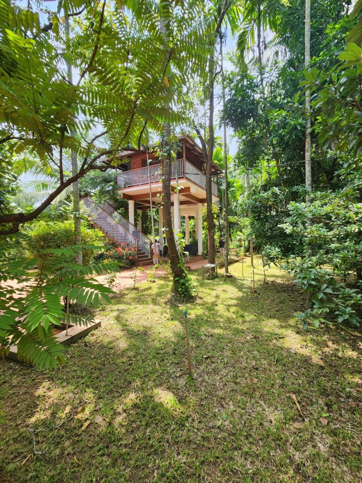 Serenity Villa And Treehouse Palakkad Esterno foto